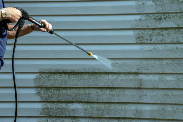 Best Spring Cleaning  in Mountain Lake Park, MD